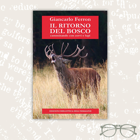 Secchiona_Il_ritorno_del_bosco